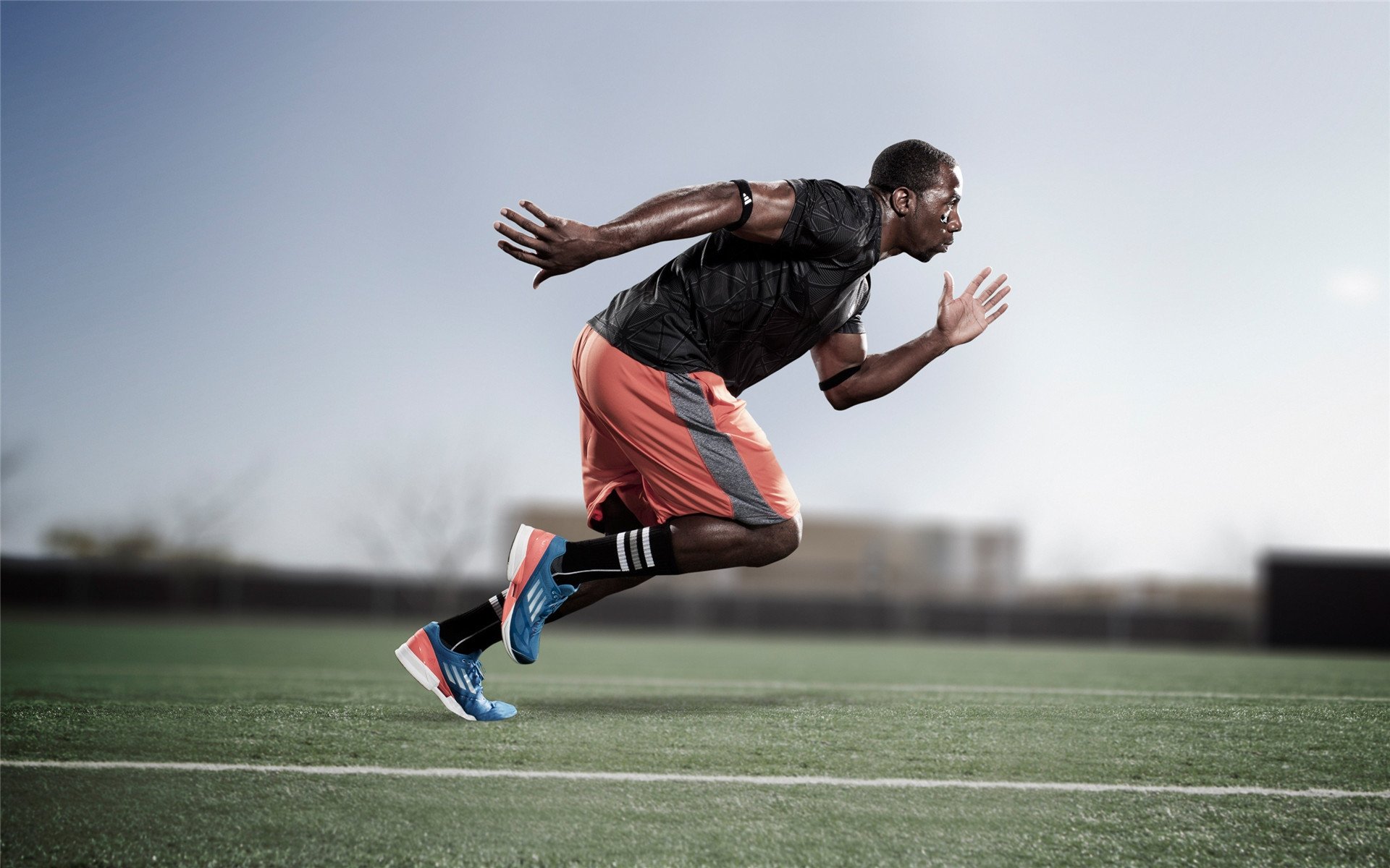 球迷文化成为焦点话题